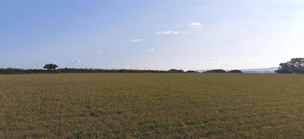 Field Looking North