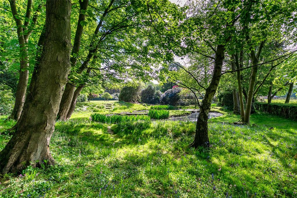 Grounds