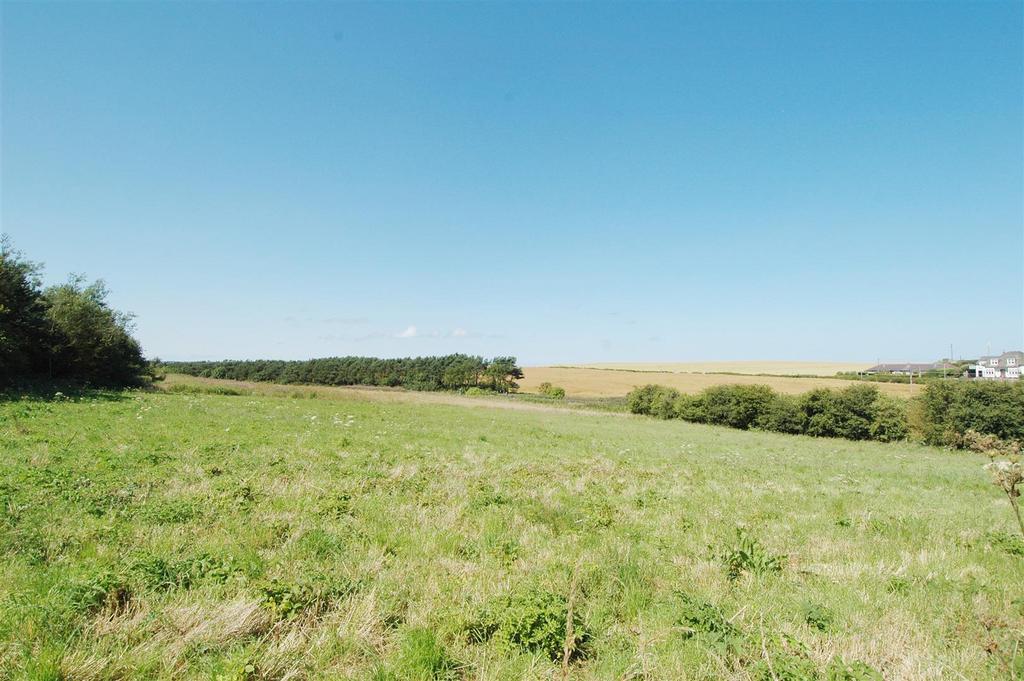 5b-Burnmouth Development Beyond Fence Print..jpg