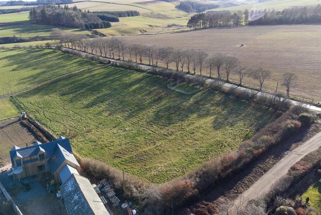 Cranshaws plots-07.jpg