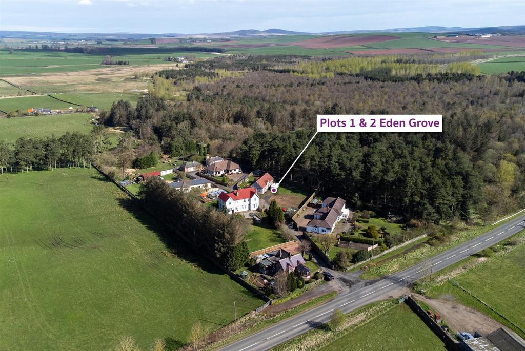 Eden grove plots-01.jpg
