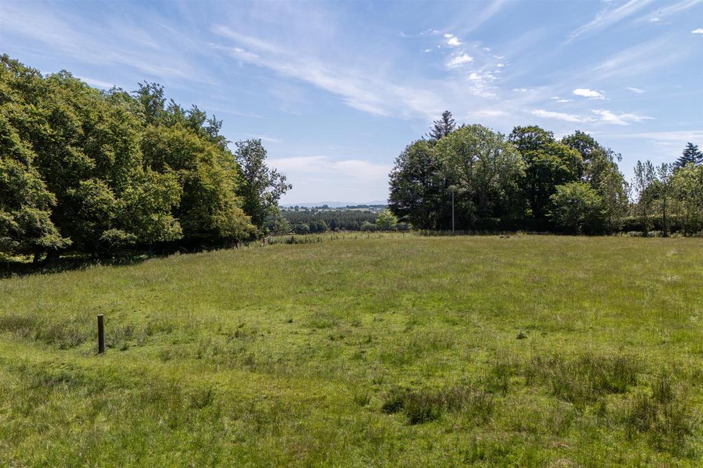 Eagle hall plot gordon-10.jpg
