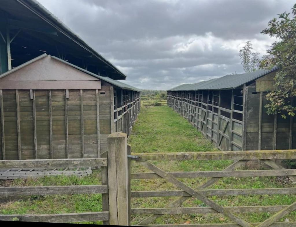 Stables.jpeg