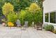 Additional image 45 of Tyndales Lane, Chelmsford CM3