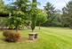 Additional image 65 of Tyndales Lane, Chelmsford CM3