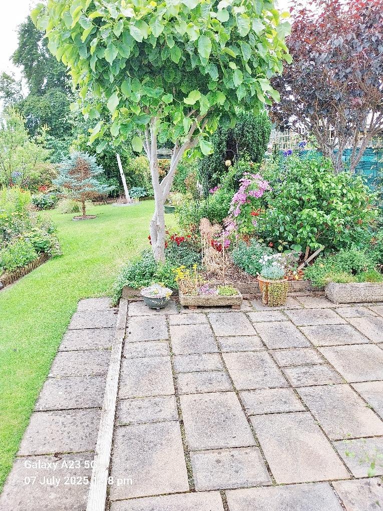 PATIO &amp; GARDENS