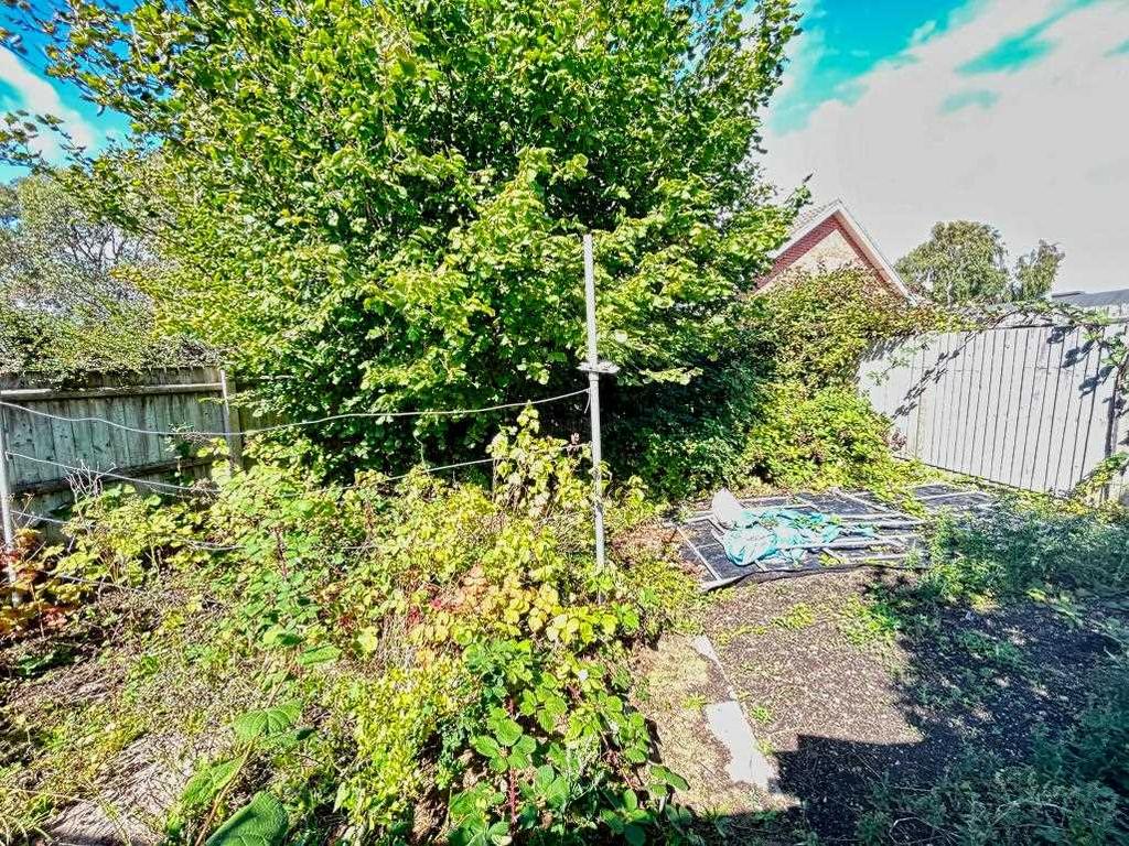 Veg Patch