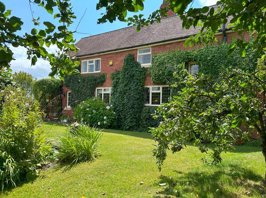 The Front Garden