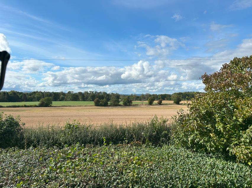 View from the Bathroom Window