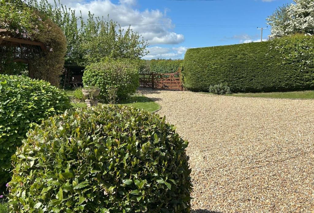 Driveway