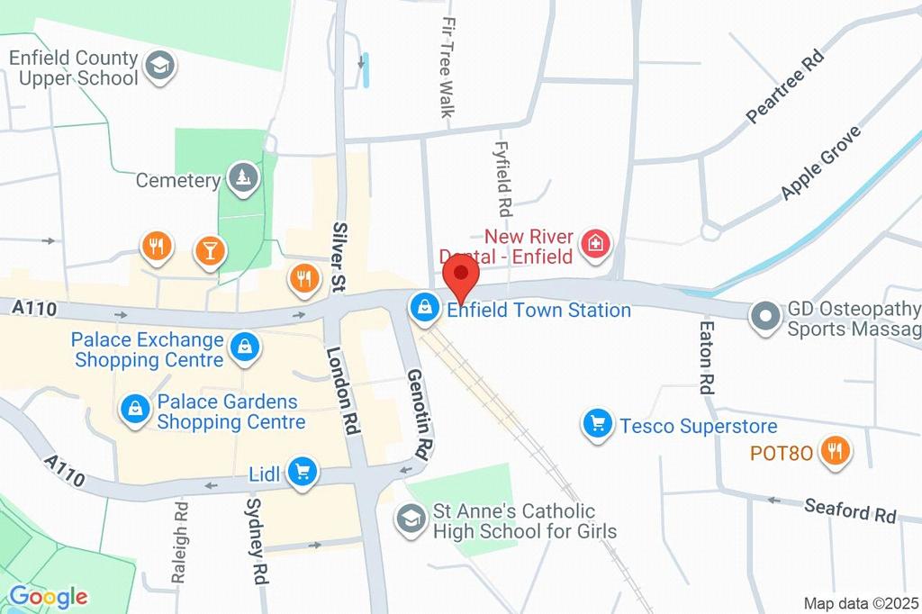Google Maps Image