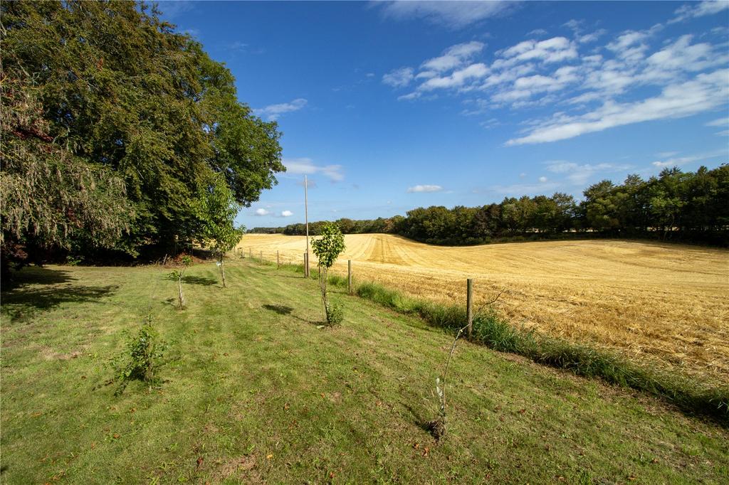 Garden and Views