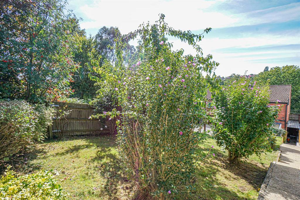 DSC08362 Alto.jpg