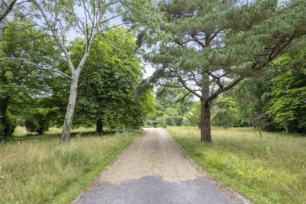 Sweeping Driveway