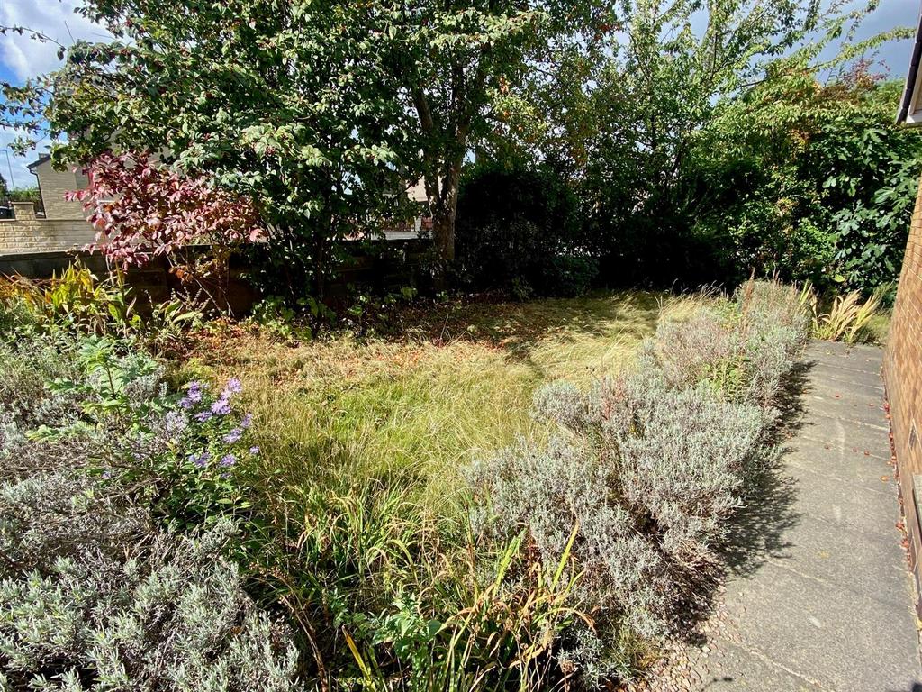 Side garden.jpg