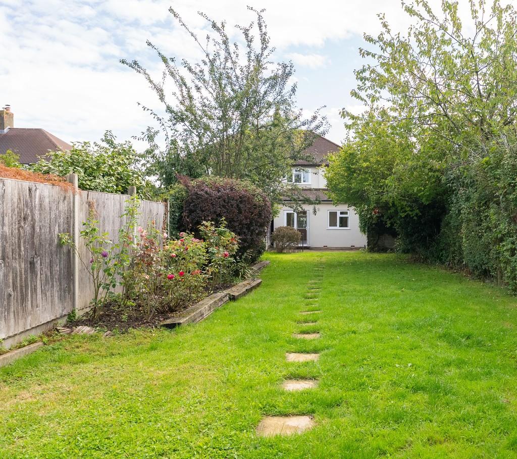 Garden cropped