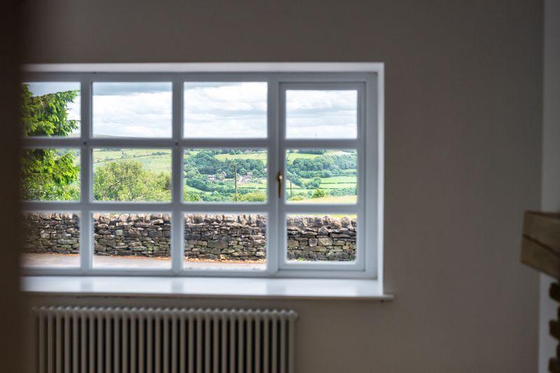 Window