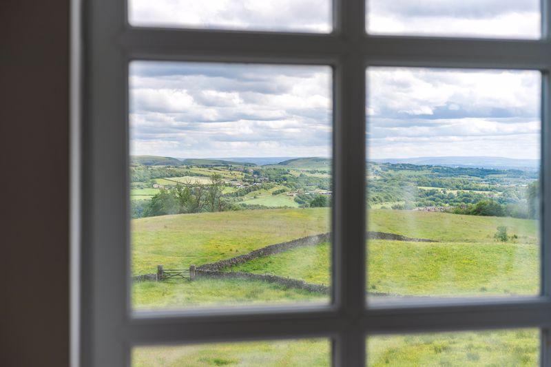 Window views