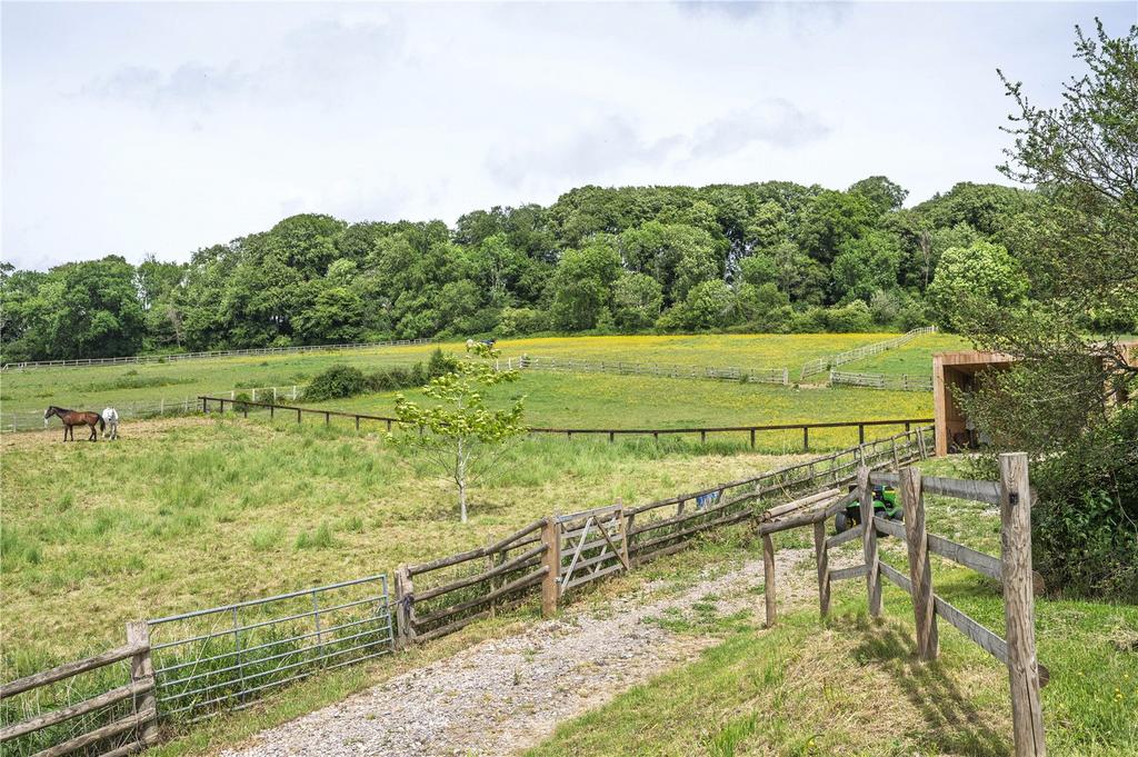 Bluebell Bank