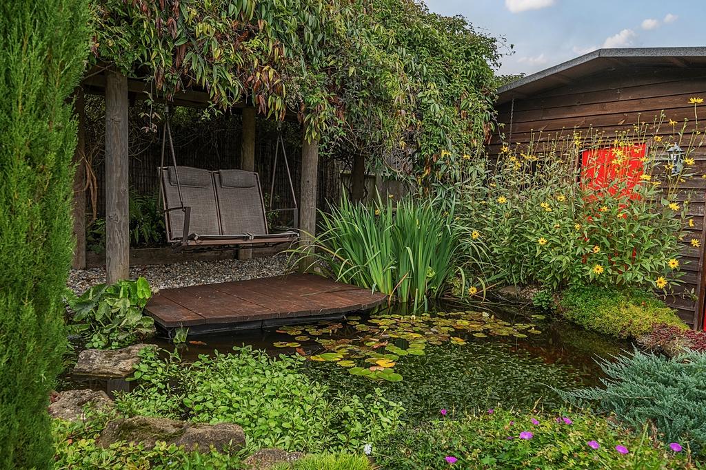 Garden Pond