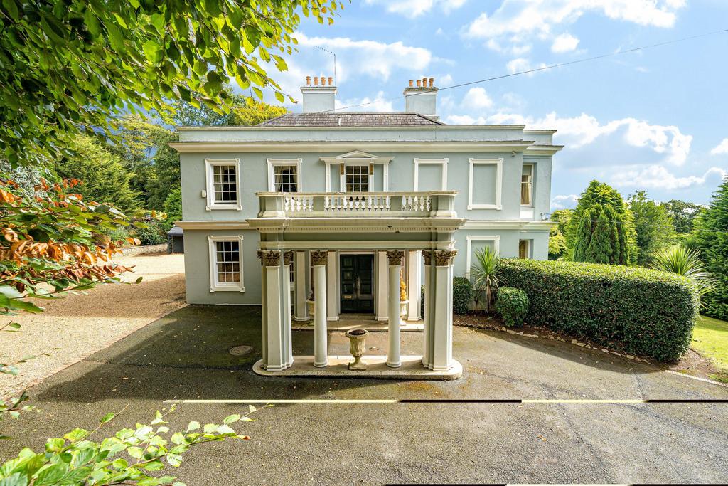 1344036-6-68b1a05dc56e9