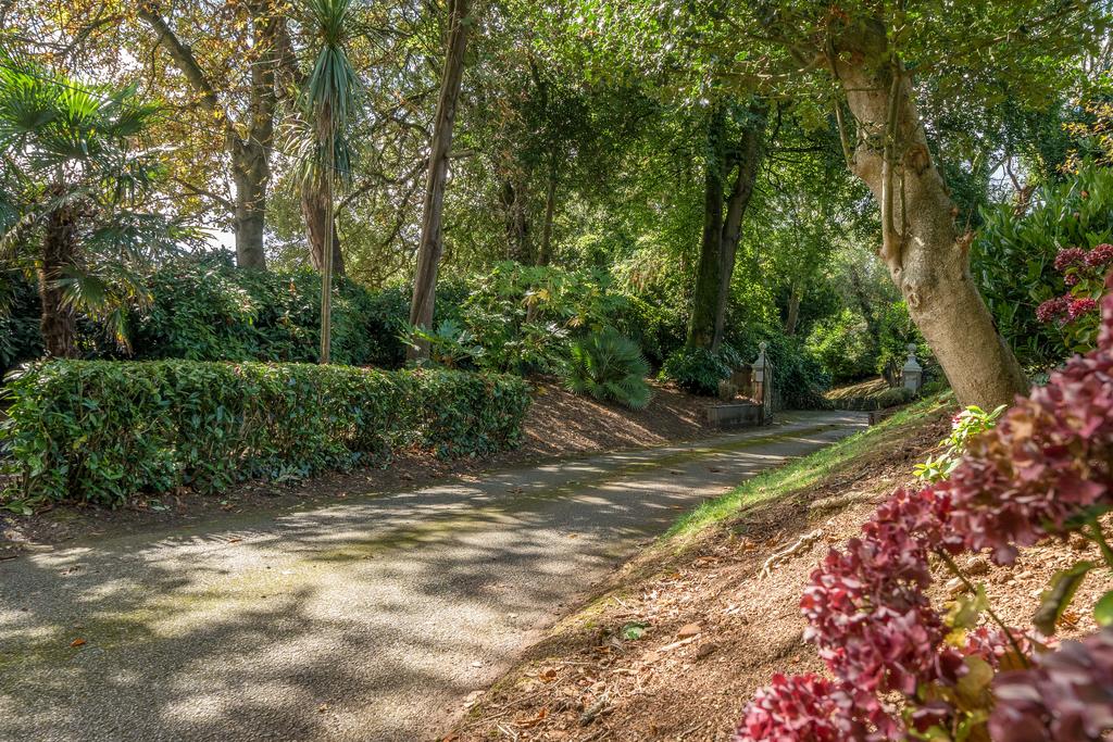 1344036-40-68b1bf87325f9-ARW