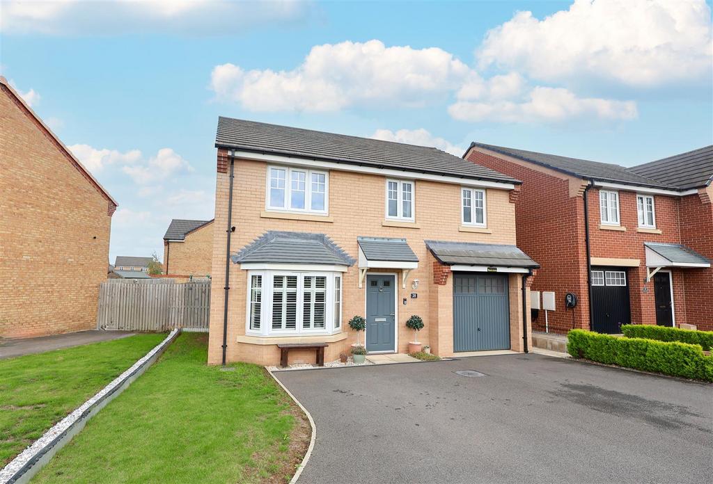 IMG 6008 copy 2.jpg