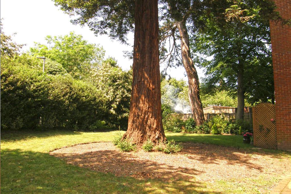 Communal Gardens