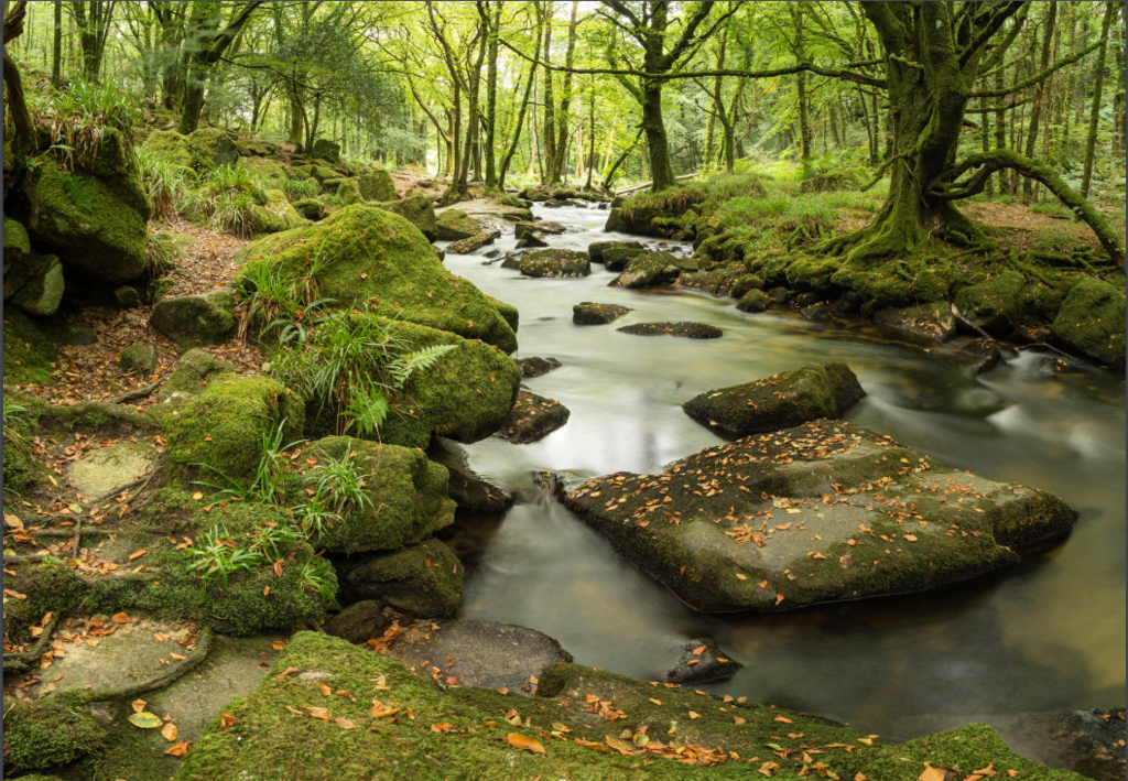 Dartmoor