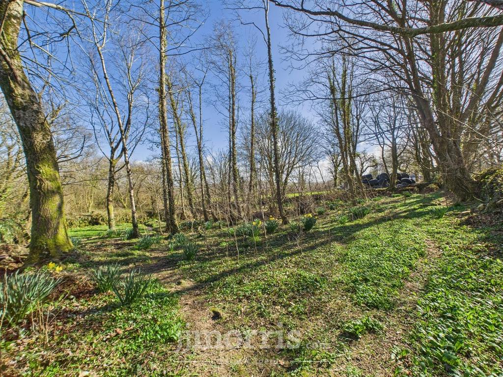 CAM02122 G0-PR0253-STILL001.jpg