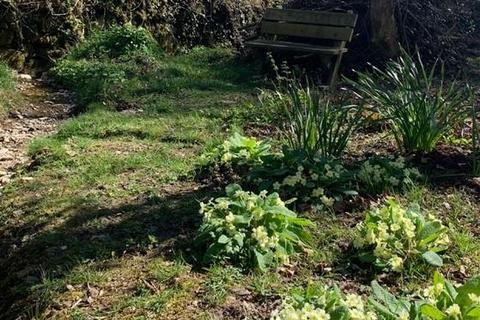 undefined, The Grove (Woodland), Cilgwyn Road, Newport
