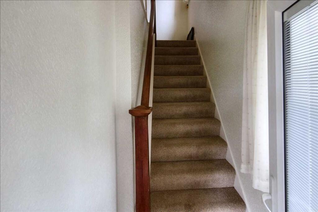 IMG 3851.jpeg