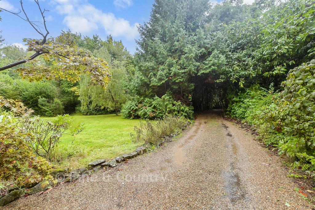 Driveway/Parking