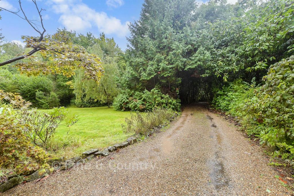 Driveway/Parking