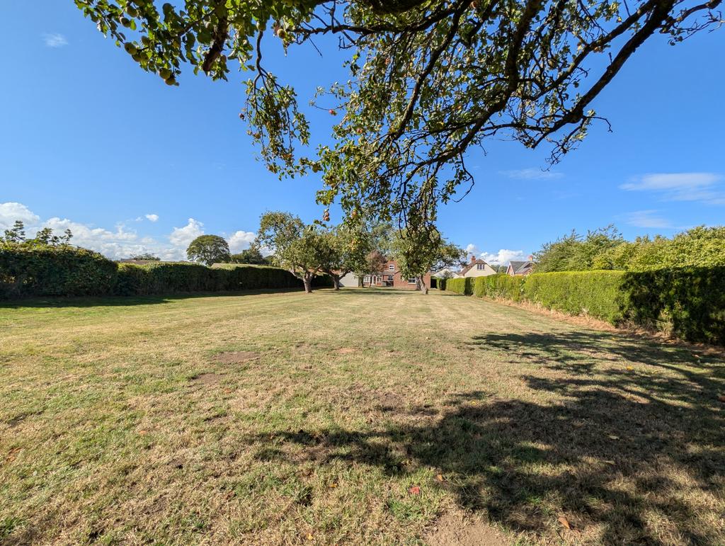 Rear garden
