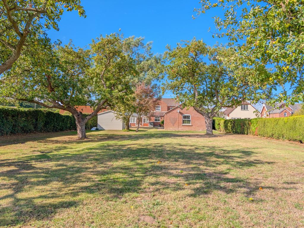 Rear garden