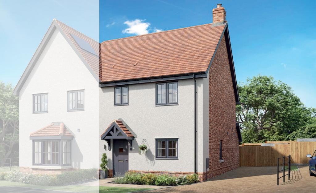 Plot 10
