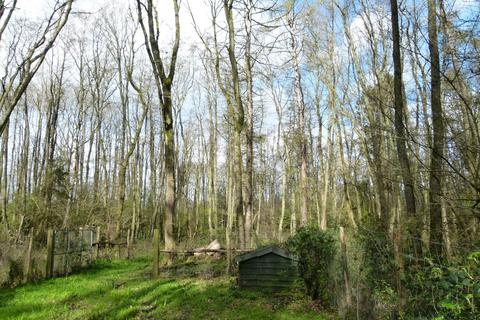 undefined, Lewen Wood, near Basingstoke RG25