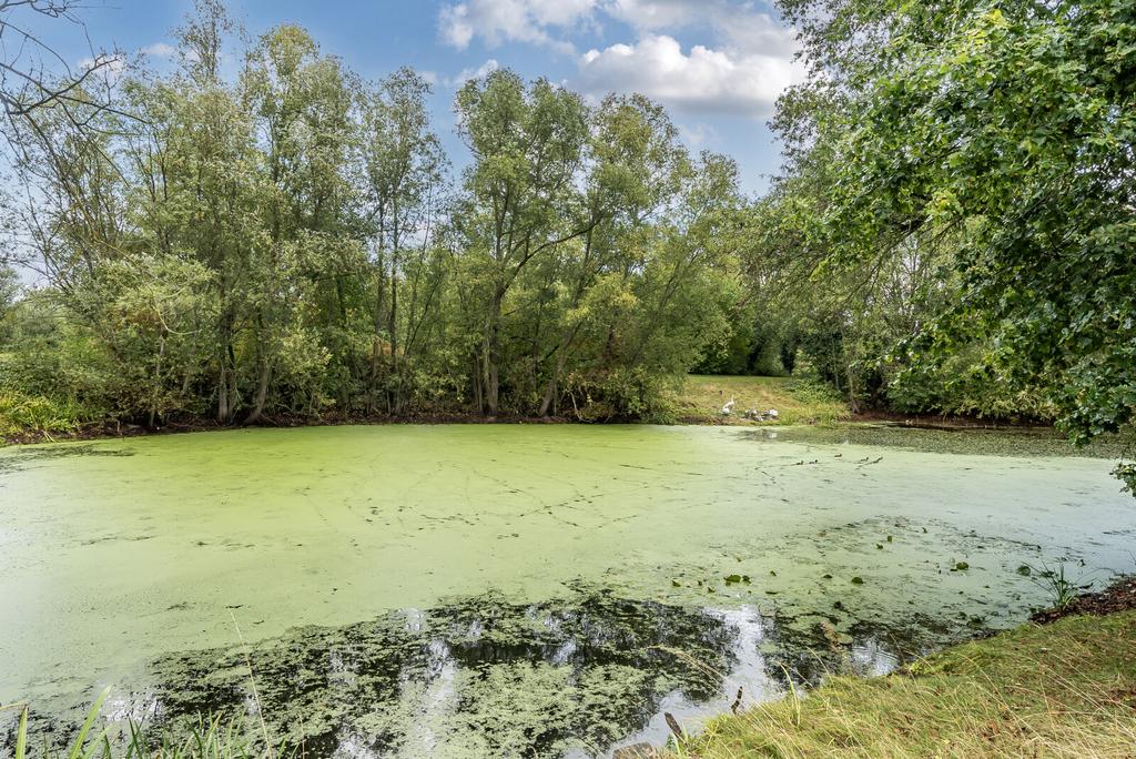 1350327-19-68c44f...