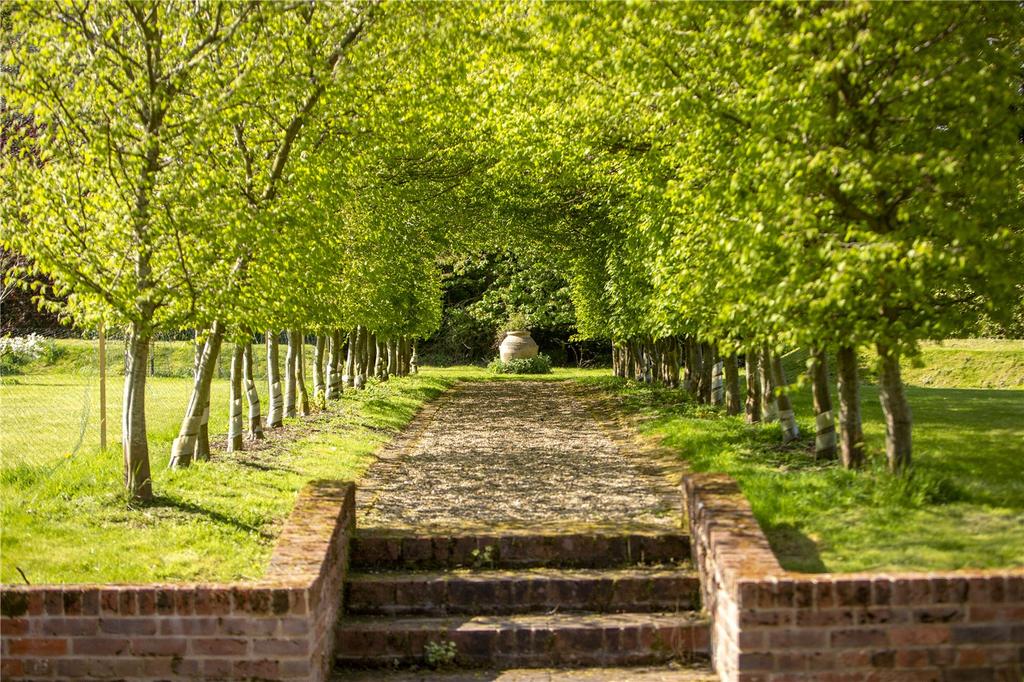 Hornbeam Walk