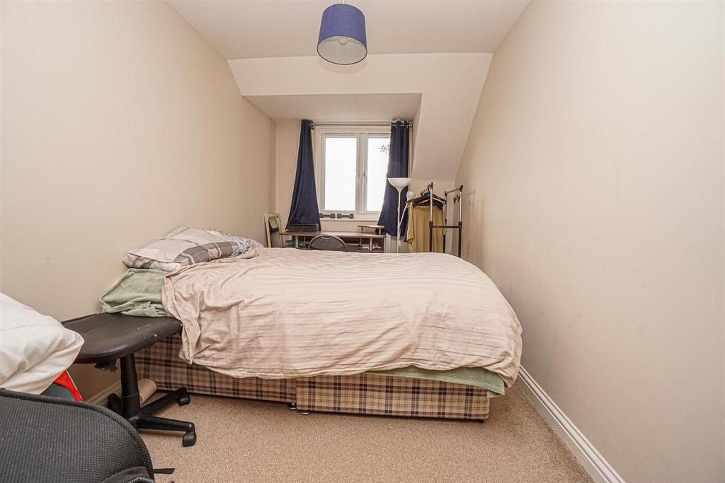 DSC06698 Alto.jpg