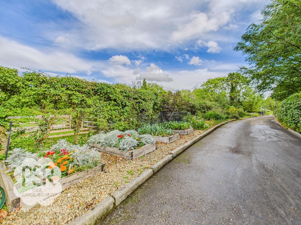 Vegetable Growing Patch