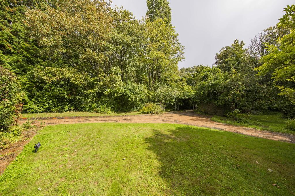 Front garden 3