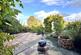 Beautifully Established Garden 064