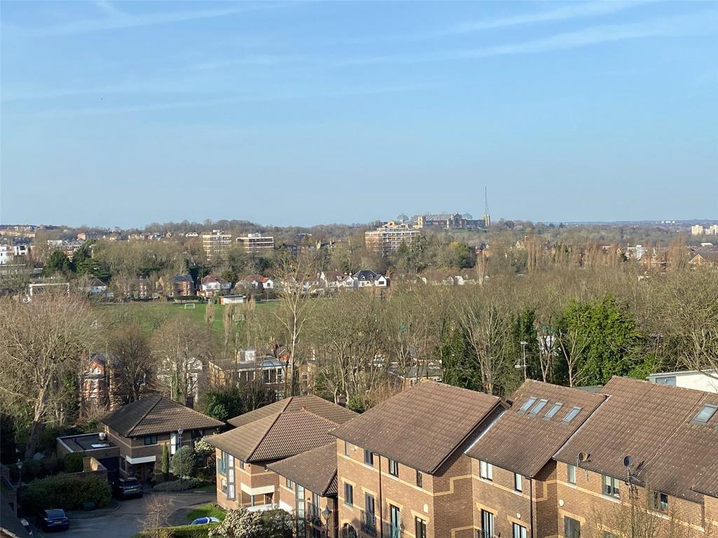 North View