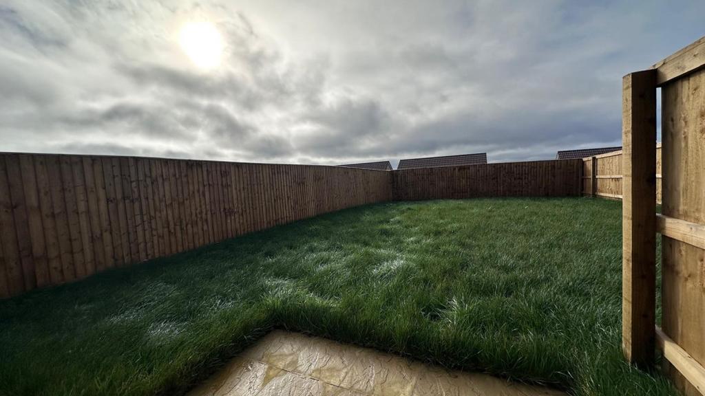 Plot image