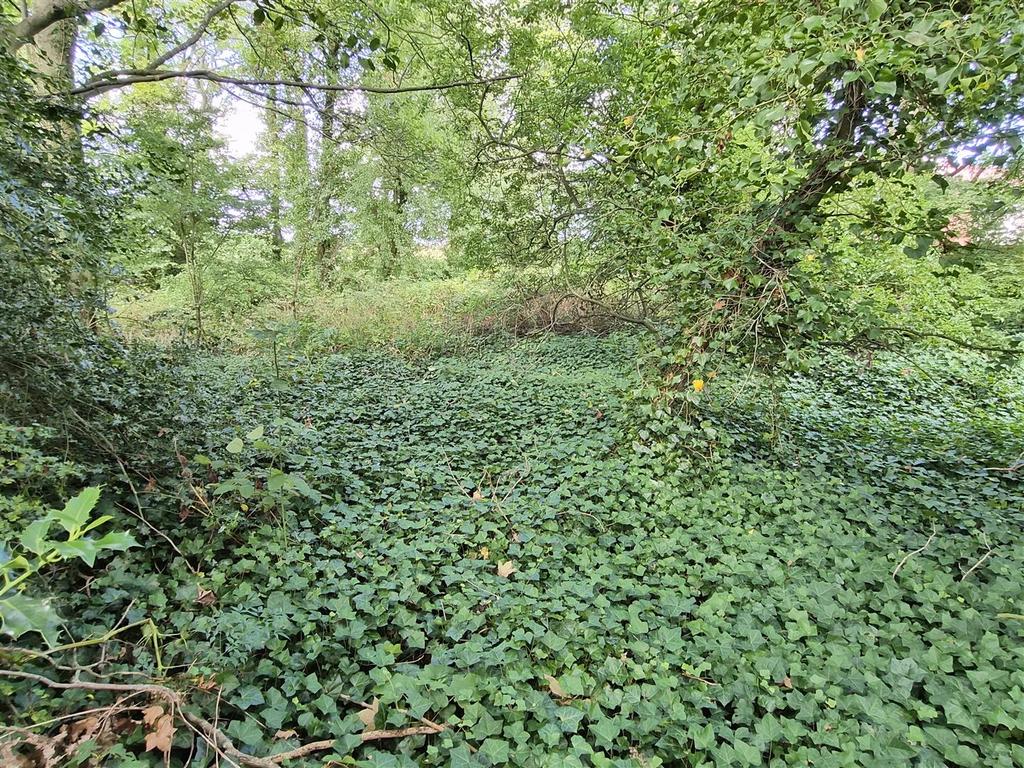Additional woodland