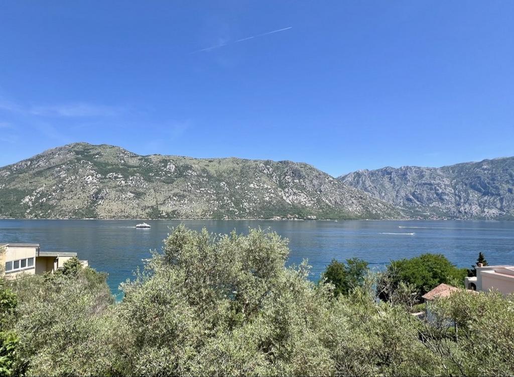 Image4