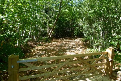 undefined, Hancox Wood, Broad Oak, Beckley TN31