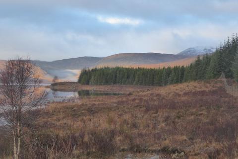 undefined, Loch Shinside Wood, Lairg IV27